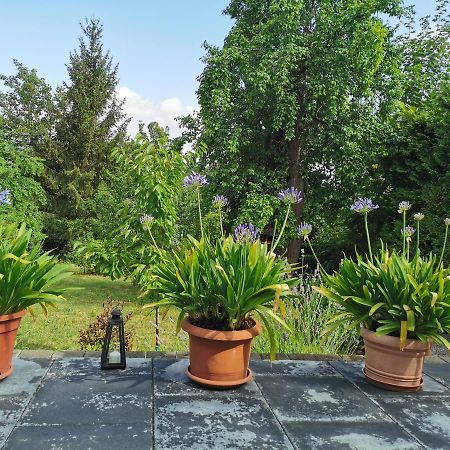 Ferienhaus Appold Вернигероде Экстерьер фото