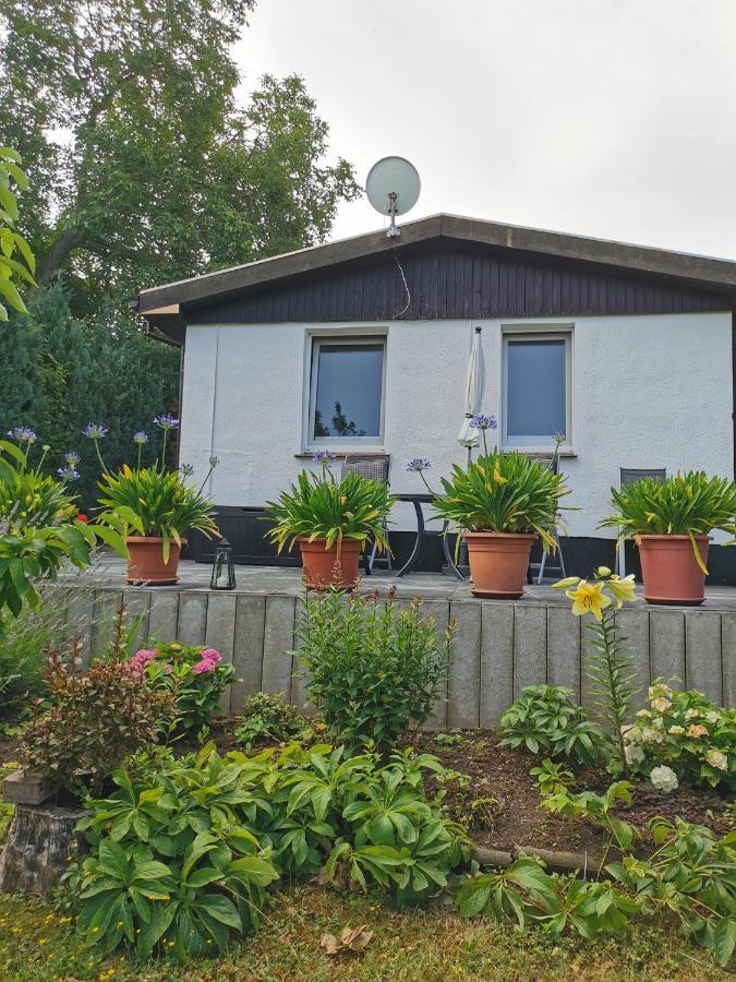 Ferienhaus Appold Вернигероде Экстерьер фото
