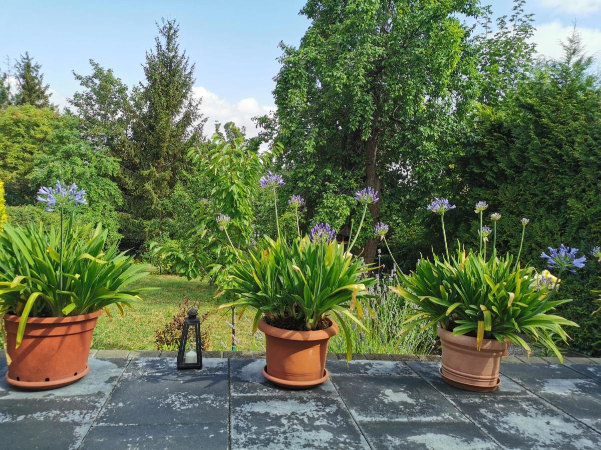 Ferienhaus Appold Вернигероде Экстерьер фото